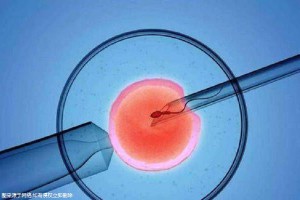 陈思远
